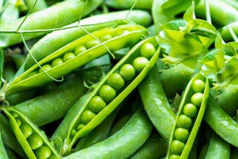 Sugar snap Peas